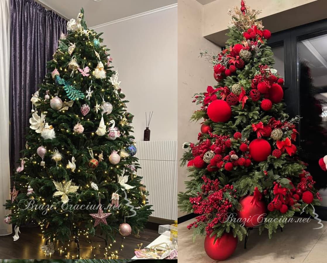 елхи с еднакъв брой клони, но различен външен вид