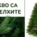 Какво представляват 3D елхите