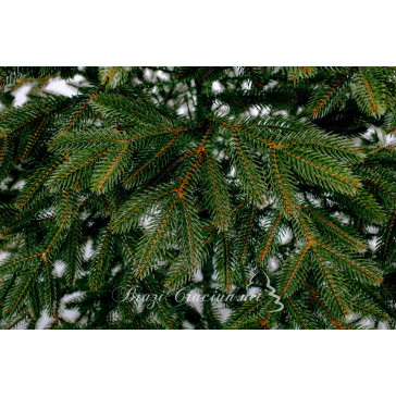 Изкуствена елха Boreal Full 3D 180 cm