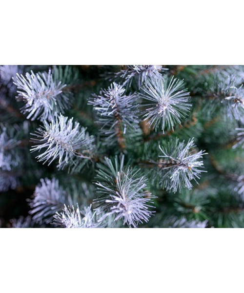 Изкуствена елха Oregon 120 cm