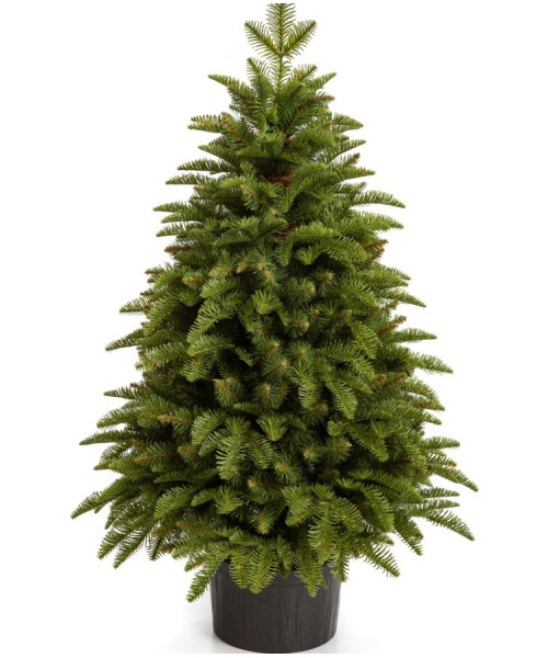 Изкуствена елха Nobiles 100 cm