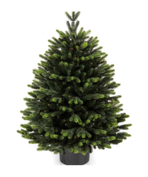 Изкуствена елха Premium Gabriel 80 cm