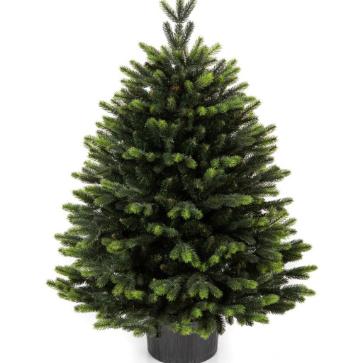 Изкуствена елха Premium Gabriel 100 cm